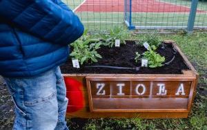 Mali odkrywcy mają swój ogród (9)