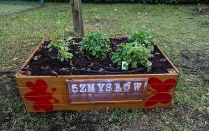 Mali odkrywcy mają swój ogród (12)