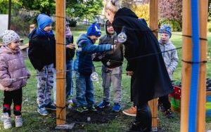 Mali odkrywcy mają swój ogród (15)