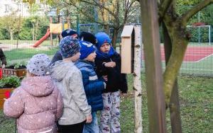 Mali odkrywcy mają swój ogród (18)
