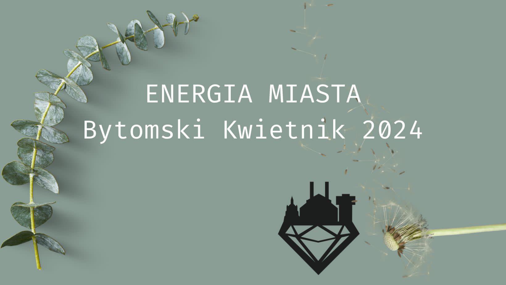 Miasto / 2024-06-15