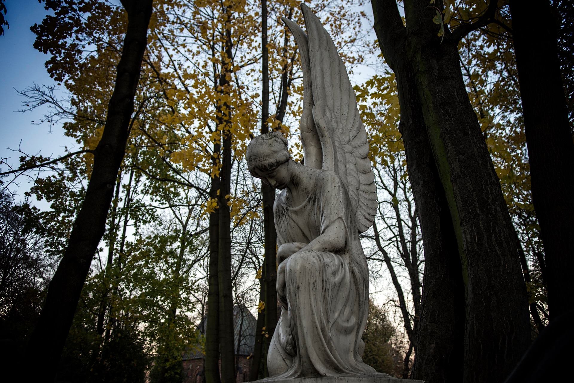 Rzeźba na zabytkowym cmentarzu Mater Dolorosa
