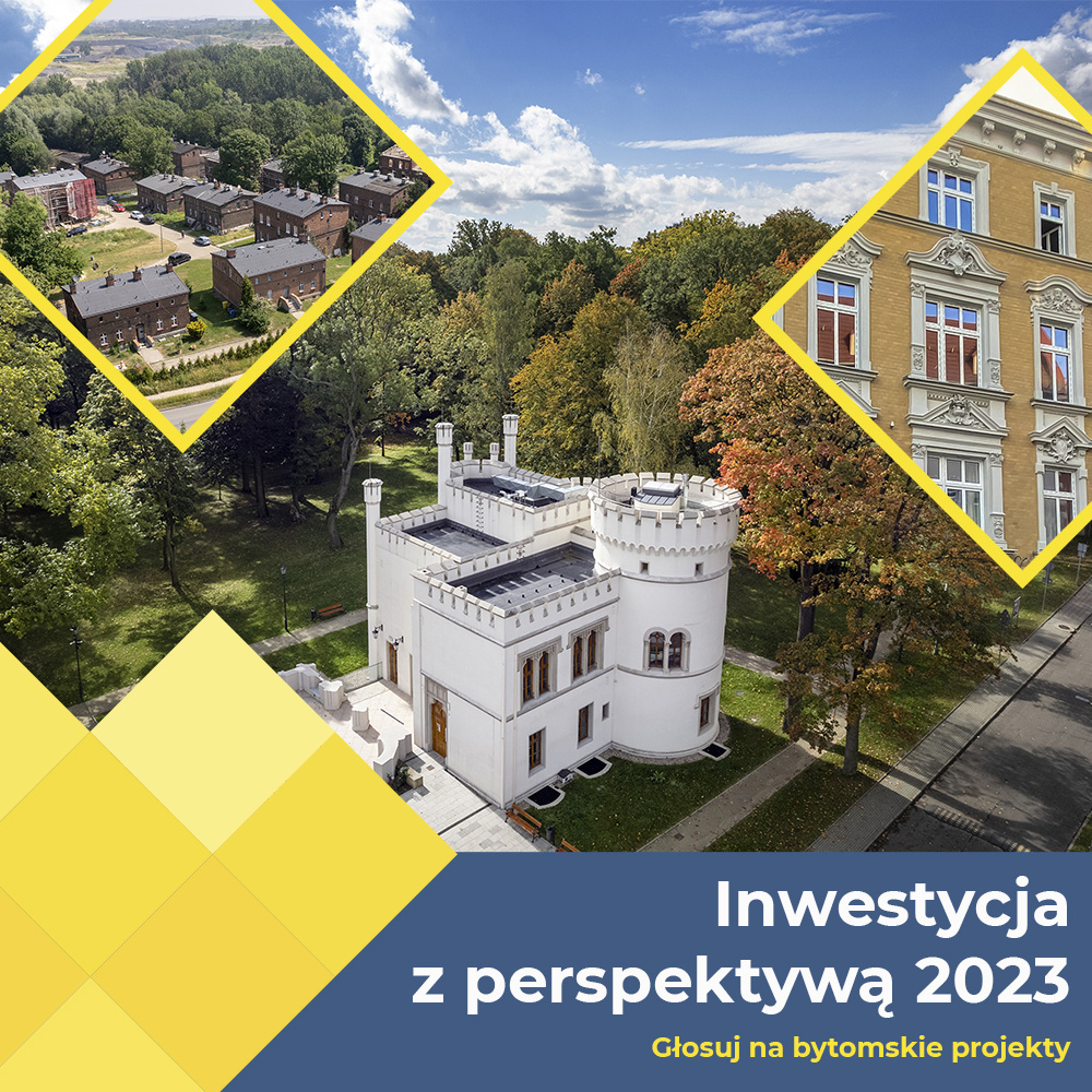 Grafika informacyjna