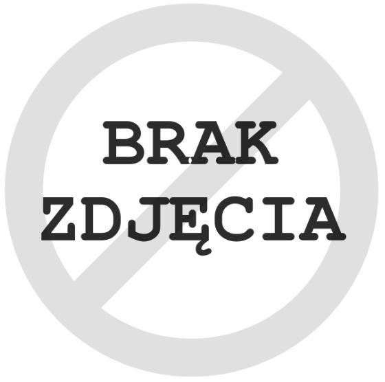 Zdjęcie radnej